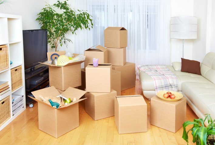 Packers and Movers Andhra Pradesh